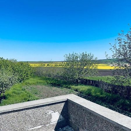 Hotel La Elvetian Jassy Zewnętrze zdjęcie